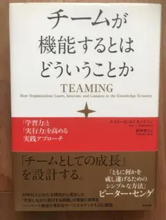チームが機能するとはどういうことか 「学習力」と「実行力」を高める実践アプローチ