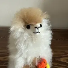 レア】ベビーアルパカ毛ぬいぐるみ キウイ ダークブラウン - メルカリ