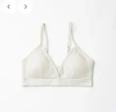 Item thumbnail for item 58b06316-a22d-4a6b-9ec5-40552ad1c850