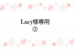 【専用②】あずま袋◆エコバック◆コンビニバック◆ハンドメイド
