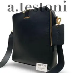 y2k a.testoni ショルダーバッグ　サコッシュ　レザー　ロゴ金具　黒金のサムネイル