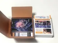 し*ん様 プロセカ　ノーブルアート　宵崎奏
