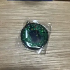 【新品❗️】ウィキッド　グリッタースイングキーチェーン　エルファバ