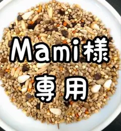 Mami様専用ページ