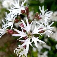 Sachie様 リクエスト 4点 まとめ商品