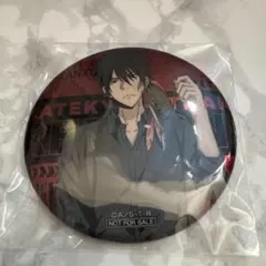 家庭教師ヒットマンREBORN!　アニメイト　特典　缶バッジ　ザンザス