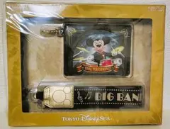 ビッグバンドビート　カメラストラップ　ファンダフル限定