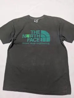 THE NORTH FACE ノースフェイス TEK TEE ビッグロゴTシャツ