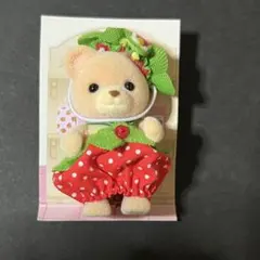 いちご くまの赤ちゃん