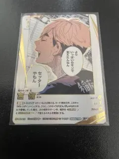 ハイキュー バボカ 最強の挑戦者 宮侑 頂P