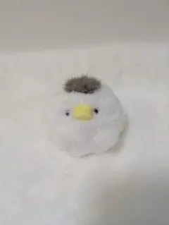 ひかる様専用　毛無しぽてまる&たこちゃん　セット