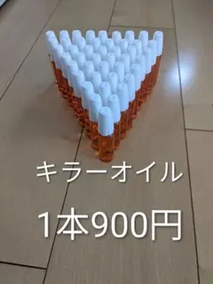 Item thumbnail for item f59b8e03-e811-4cbf-9398-ba611d8a3c13