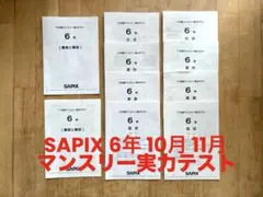 【lalaさん専用】SAPIX 5年 1年分組分け・マンスリー・SO10回分原本 lalaさん専用】SAPIX 5年 1年分組分け・マンスリー・SO10回分原本