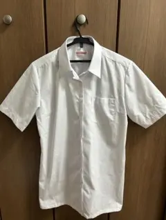 Item thumbnail for item ed3ad157-0bd8-4e34-bd5d-f501b68afb80