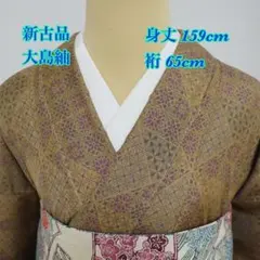や様 専用◆新古品◆証紙付き◆大島紬◆幾何学模様◆袷◆正絹◆色大島