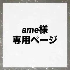 ame様専用ページ オーダートレカキーホルダー