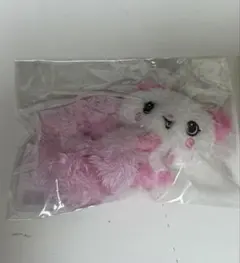 NCT WISH シュシュ サクヤ パン NCT WISH シュシュ サクヤ パン ソウルコン - メルカリ