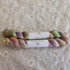 Item thumbnail for item b5ddad7c-5bf8-46f0-ac73-2e05040f369c