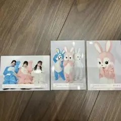 櫻坂46 見つけて櫻うさぎ 生写真 3枚セット