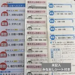 2026年最新】算数テスト 6年 カラーテストの人気アイテム - メルカリ