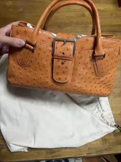 高級感有り　希少　オーストリッチ　オレンジ レザー ハンドバッグ 保存袋付き