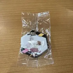 【新品未使用】【びっくらぽん】僕のヒーローアカデミア　マグネットシート⑨