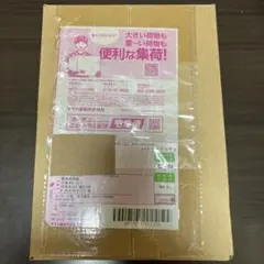 ポケモンカード　バトルパートナーズ（初版プロモ付）　1ボックス