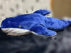 Item thumbnail for item 7d216124-9209-4ef1-8ed8-38f7d5aefbf4