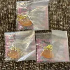 サンリオ グミチュアチャームGUMMY＆ミニポーチ　こぎみゅん3個セット