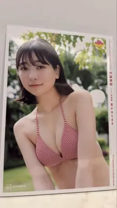 2026年最新】今森茉耶 チェキの人気アイテム - メルカリ