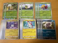 ポケモンカード　マイナン　なかまをよぶ　ワタシラガ　わたはこび　ヒメンカ