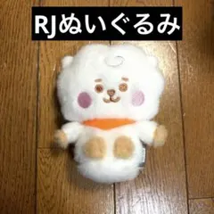 BT21 RJ JIN ジン ノベルティープラッシュ ぬいぐるみ BTSバンタン