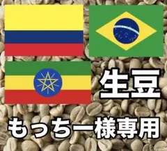 【もっちー様専用】コーヒー生豆3種類セット！　※送料無料