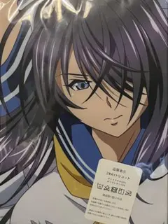 2026年最新】抱き枕カバー 関羽 一騎当千の人気アイテム - メルカリ