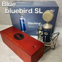 【交渉頂いた為値下げ中】BLUE Bluebird SL 交渉頂いた為値下げ中】BLUE Bluebird SL Blue Bluebird SLを