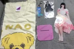 冨里奈央 冨里奈央 乃木坂46 2026年福袋 個別メンバーデザインアクリル