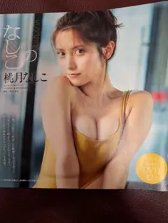 桃月なしこ DVD 週刊プレイボーイ特別付録　新品未開封