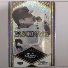 読売ジャイアンツ　坂本勇人 FASCINATE BBM 15/50