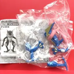 プレミアムガシャポン ポケモン 組立可動 ゲッコウガ - メルカリ