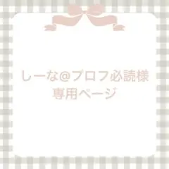 しーな@プロフ必読様専用ページ