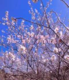 コロ葱(マロ)様専用お取り置きページ•*¨*•.¸♬︎