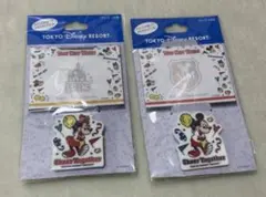 東京ディズニーリゾート Cheer Together バッジ 2個セット