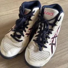 asics ジュニア ハイカットバスケットシューズ21.5cm