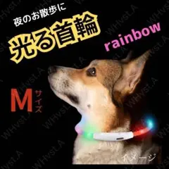 犬 ドッグ 光る 首輪 LED Mサイズ レインボー USB充電 夜間 散歩用