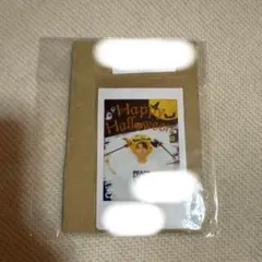 KIDPHENOMENON 鈴木瑠偉 直筆メッセージ サイン入りチェキ KIDPHENOMENON 鈴木瑠偉 直筆メッセージ サイン入りチェキ