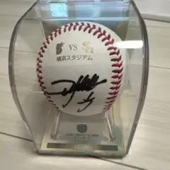 2025年最新】山川 サインボールの人気アイテム - メルカリ