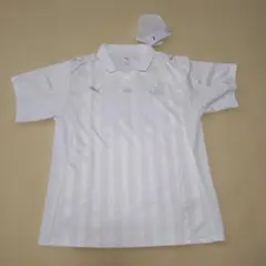 Item thumbnail for item d9331cfb-2a00-4816-9125-d1d866e97912