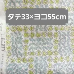 Item thumbnail for item fb93f35b-cb08-41dd-9d0e-a26f450cfd84