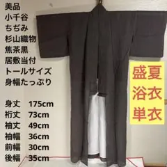 美品 トールサイズ】堅絽 ドット 小紋 盛夏 単衣 裄丈71 身丈171