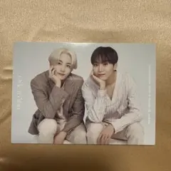 SEVENTEEN ジョンハン、バーノン ペアトレカ2枚 - メルカリ